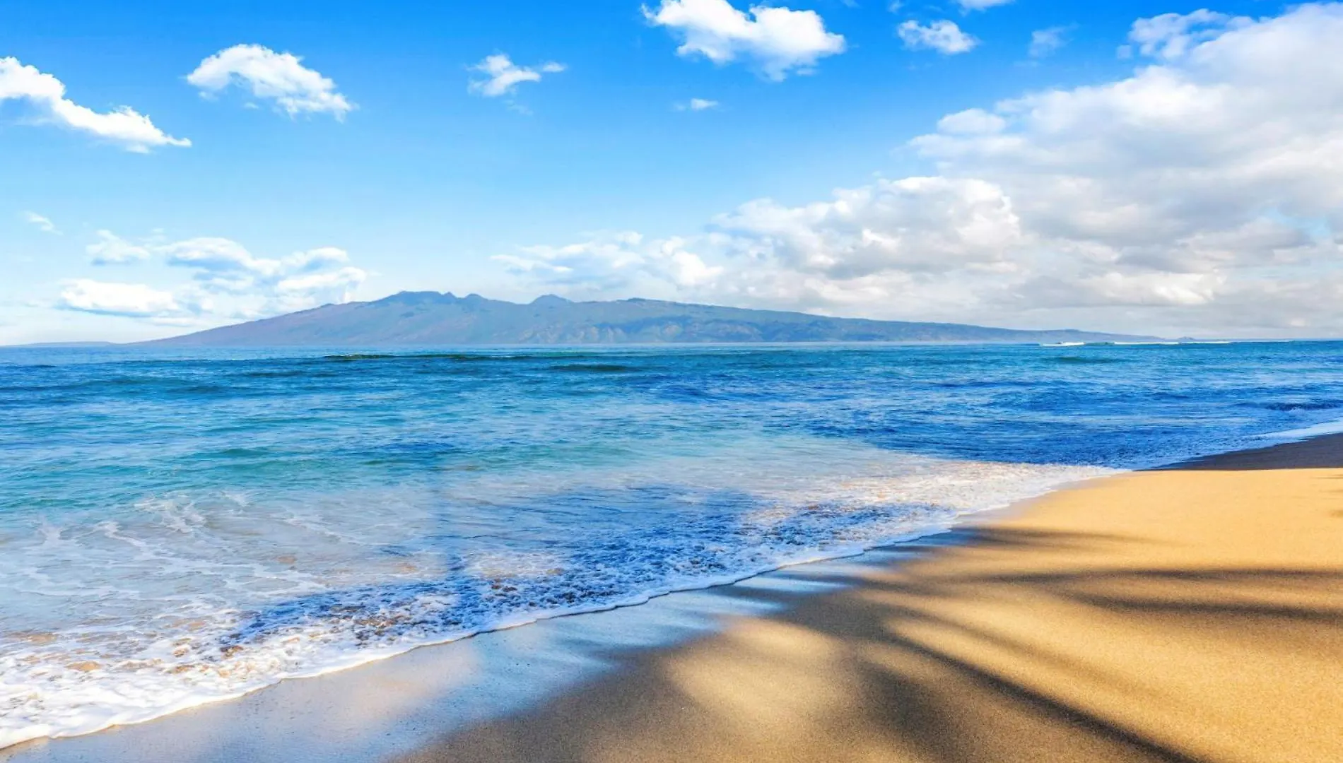 Holiday home Outstanding Ocean Views 2Bd! Sk373 - Sullivan Kahana
