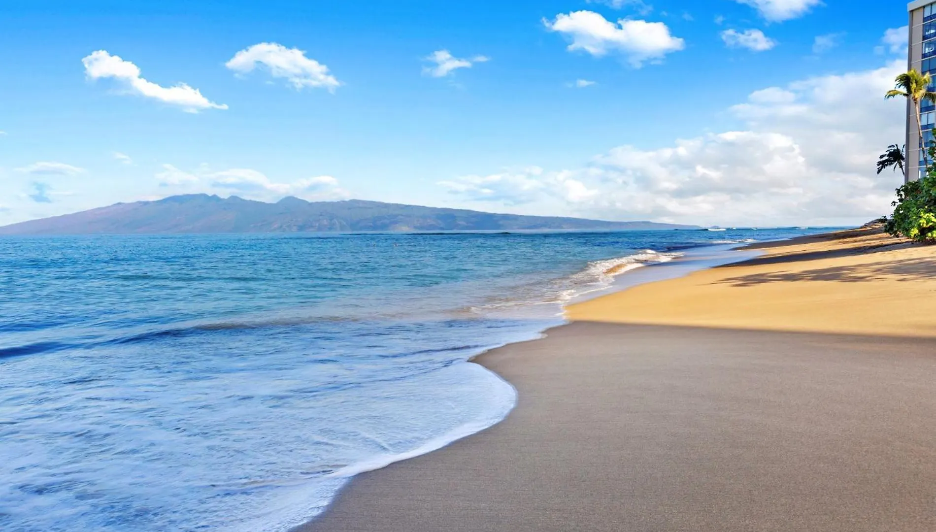 Outstanding Ocean Views 2Bd! Sk373 - Sullivan Kahana 0*,  United States