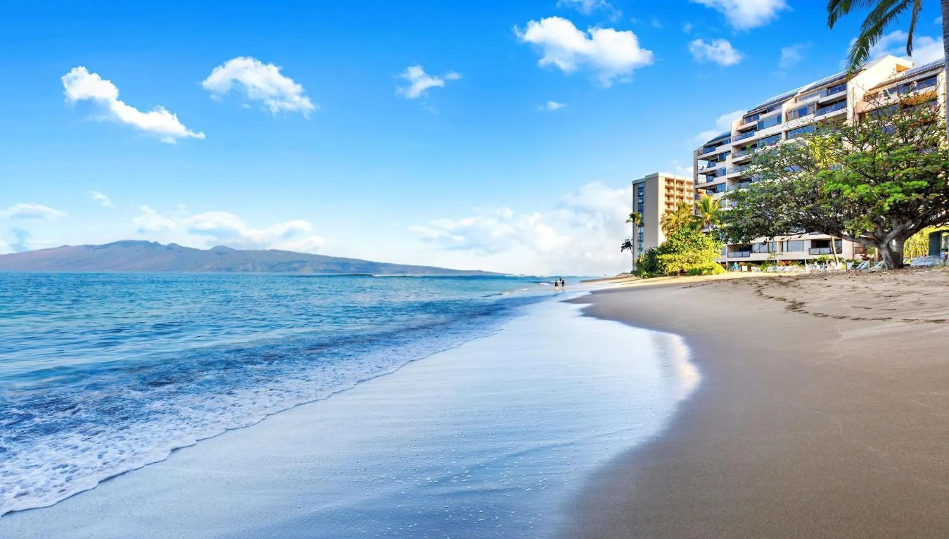 Outstanding Ocean Views 2Bd! Sk373 - Sullivan Kahana Holiday home