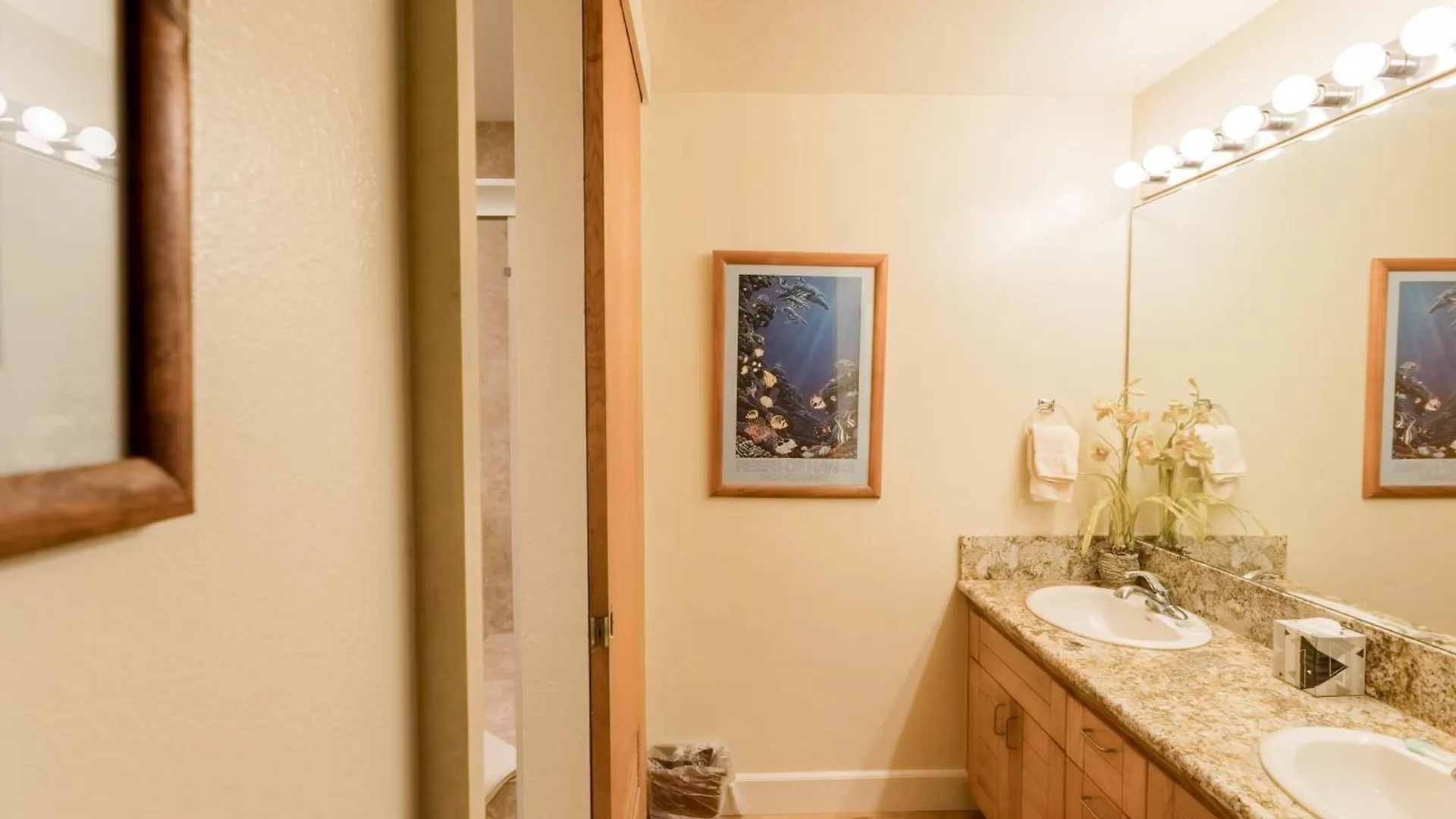 Outstanding Ocean Views 2Bd! Sk373 - Sullivan Kahana 0*,