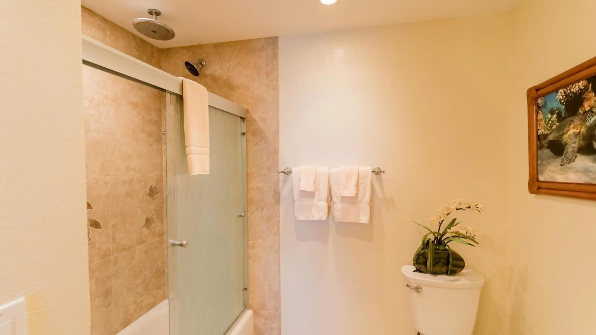 Outstanding Ocean Views 2Bd! Sk373 - Sullivan Kahana Holiday home