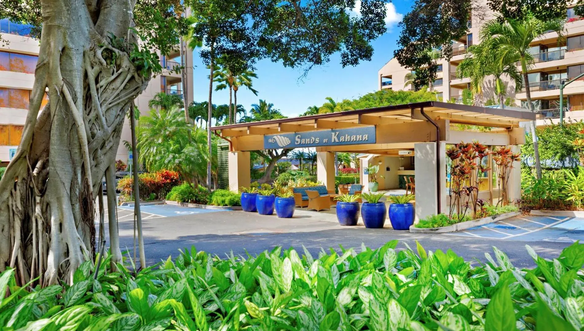 Outstanding Ocean Views 2Bd! Sk373 - Sullivan Kahana